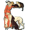 irdog13.gif