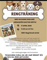 ringträning.jpg