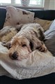 20250225 Billy 10.jpg