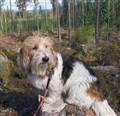 20250531 Tobbe.jpg