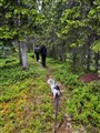 funäsdalen.jpg
