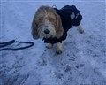 20251126_Tobbe_prov_.jpg